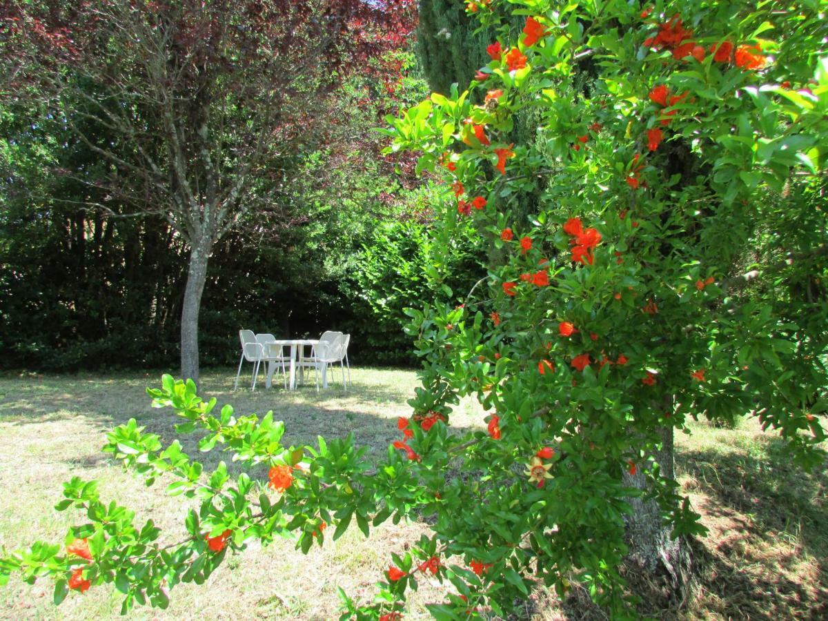 Agriturismo Dea Valfabbrica Extérieur photo